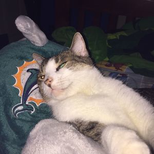 Meet your Posher, William